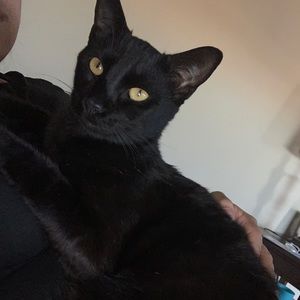 Meet your Posher, April